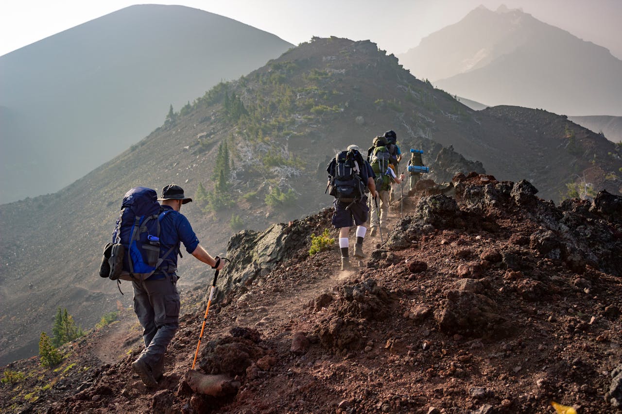 Kije trekkingowe